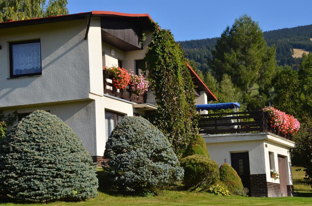 Apartmán Braun Rokytnice nad Jizerou Camera foto