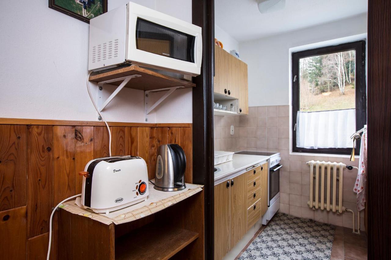 Apartmán Braun Rokytnice nad Jizerou Esterno foto